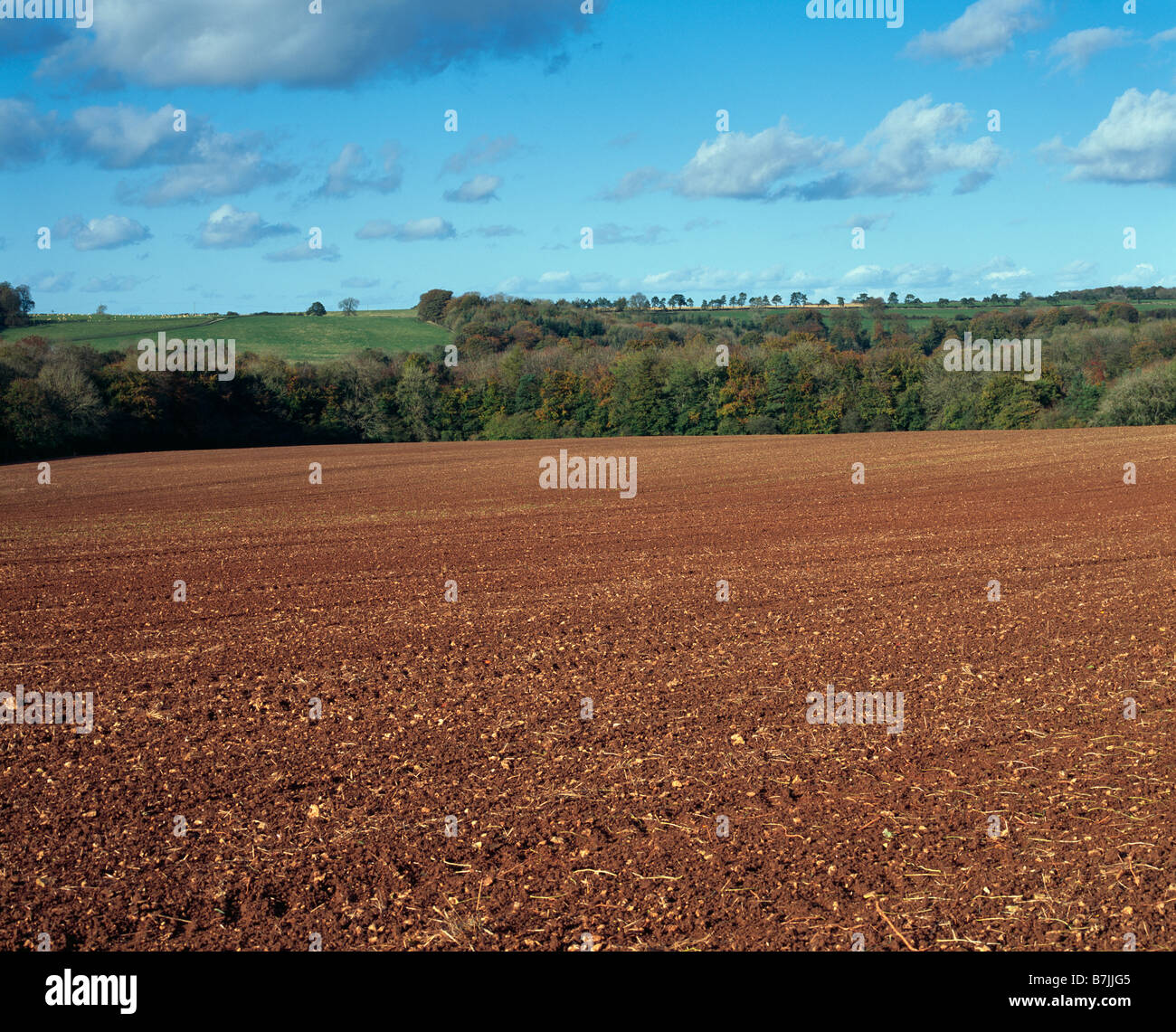 A ploughed field in early autumn near the Cotswold Village of Sheepscombe, Gloucestershire, England. Stock Photo