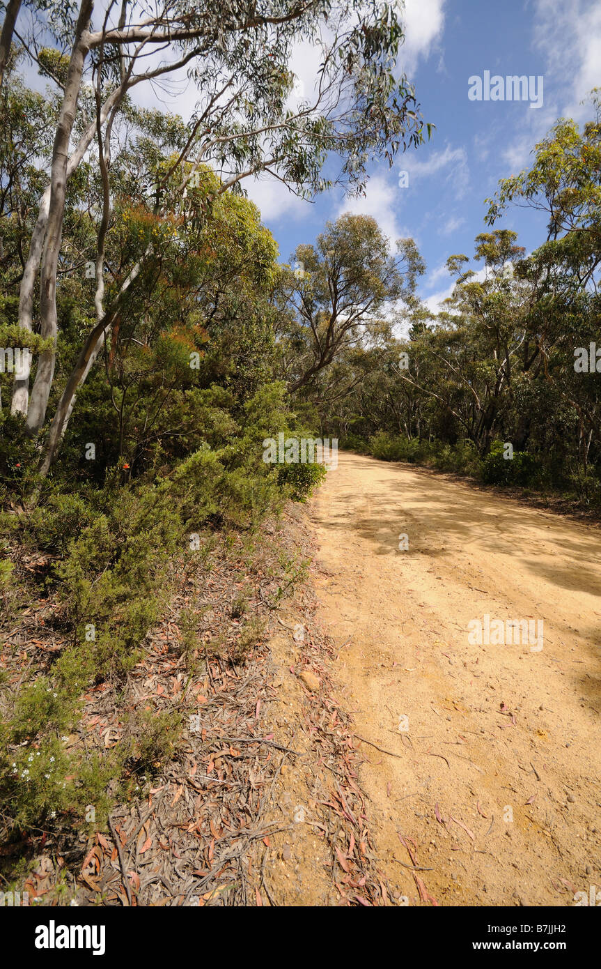 tableland road empty dirt road Road Blue Mountains New south Wales Australia Stock Photo