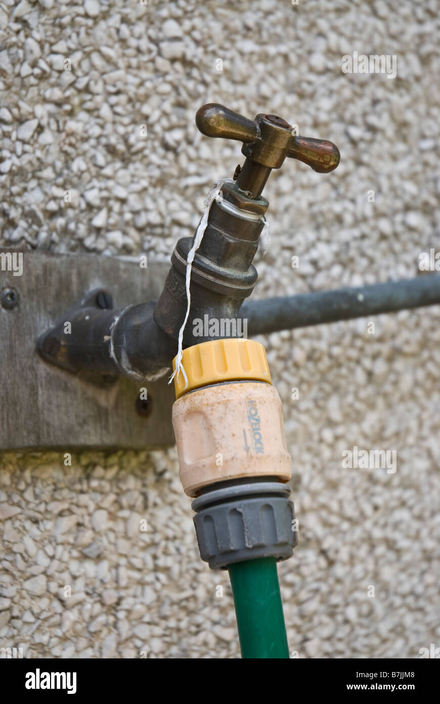 Garden Tap with hosepipe attached Stock Photo