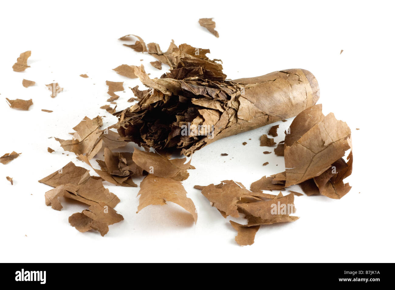 Broken and shredded, old dried out cigar Stock Photo