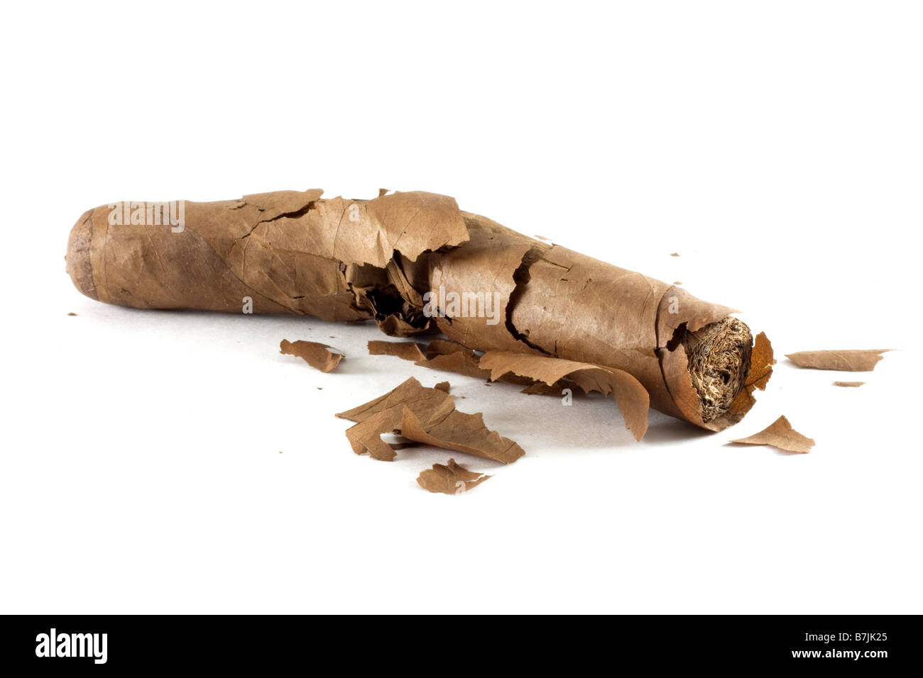 cracked-and-broken-dry-cigar-B7JK25.jpg