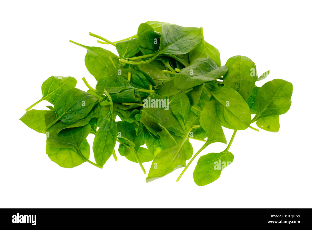 fresh spinach leaves isolated on a white background Stock Photo - Alamy