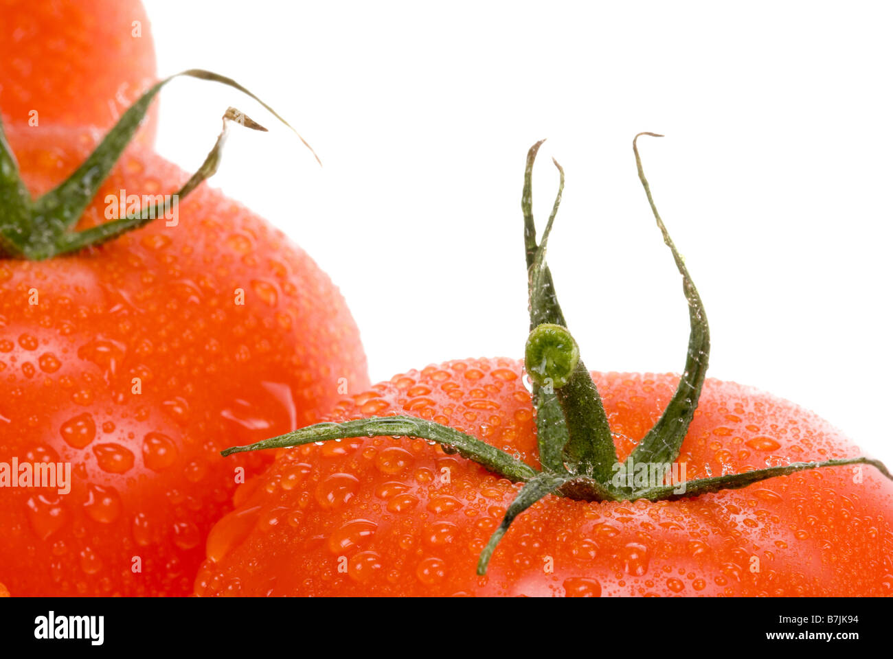 close up of a fresh tomato on a white background Stock Photo - Alamy