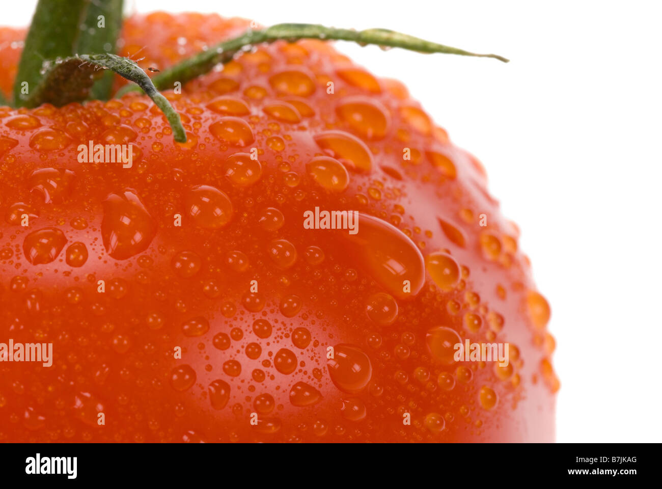 close up of a fresh tomato on a white background Stock Photo - Alamy