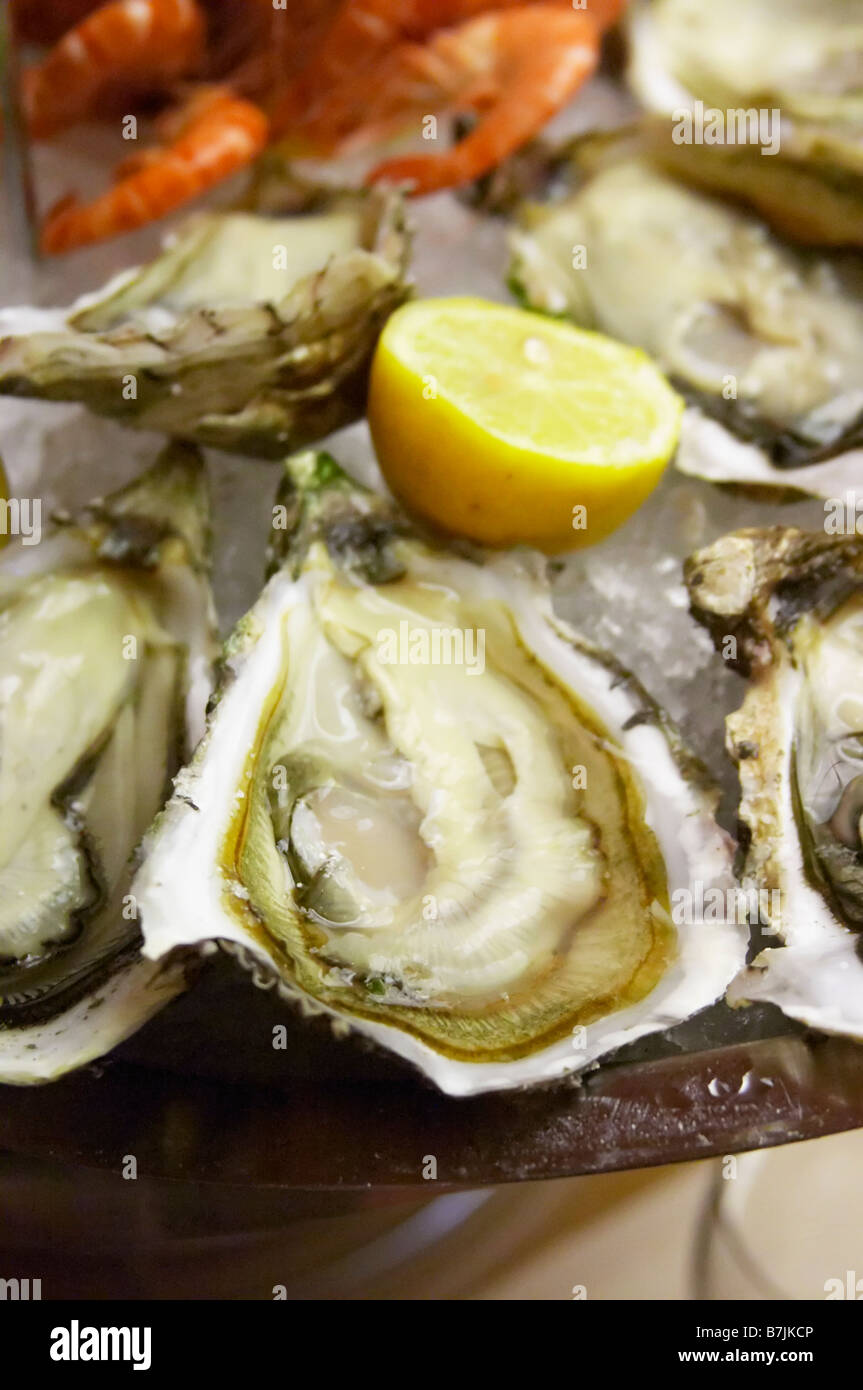 Oysters fines de claire Stock Photo