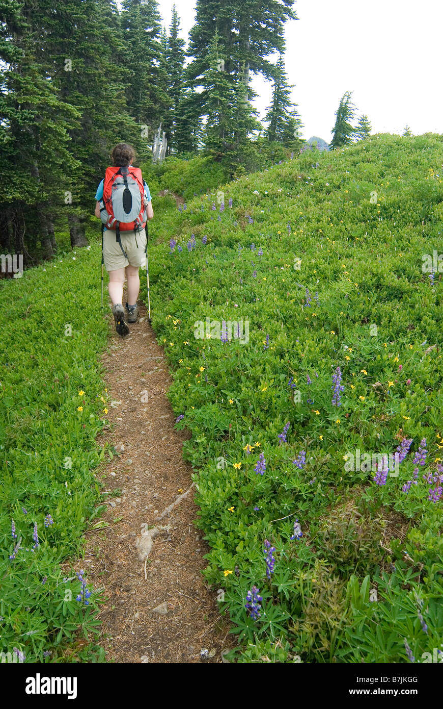 Woman rear view shorts hiker hi-res stock photography and images - Alamy