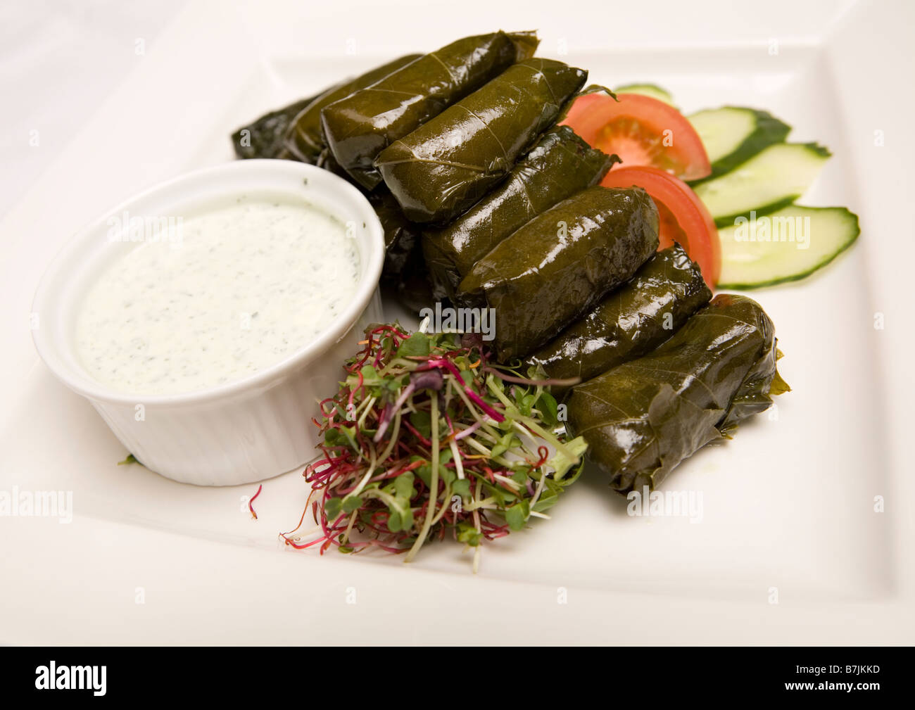 Stuffed vine leaves with salad Stock Photo Alamy