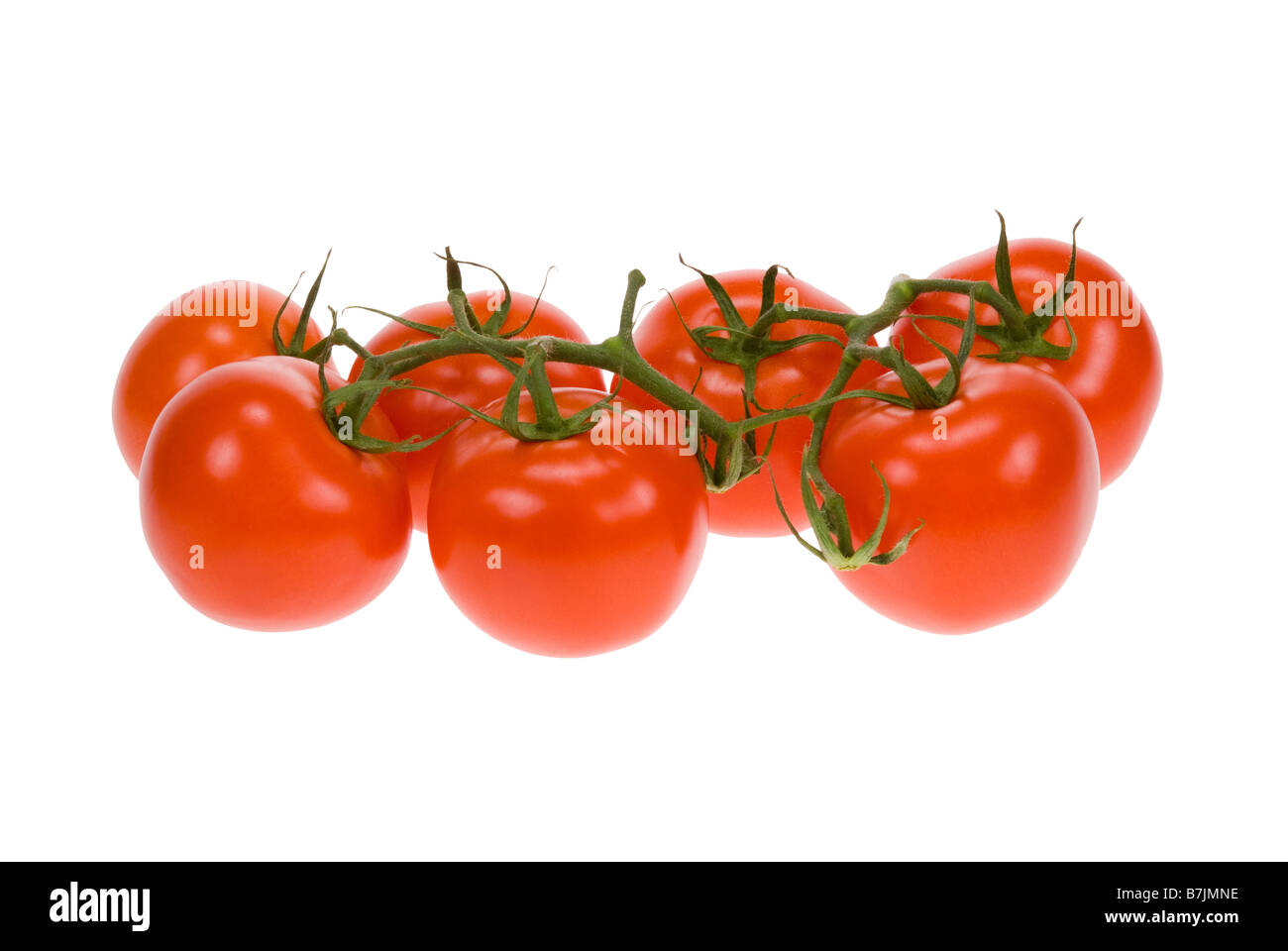 fresh bunch of tomatos isolated on a white background Stock Photo - Alamy