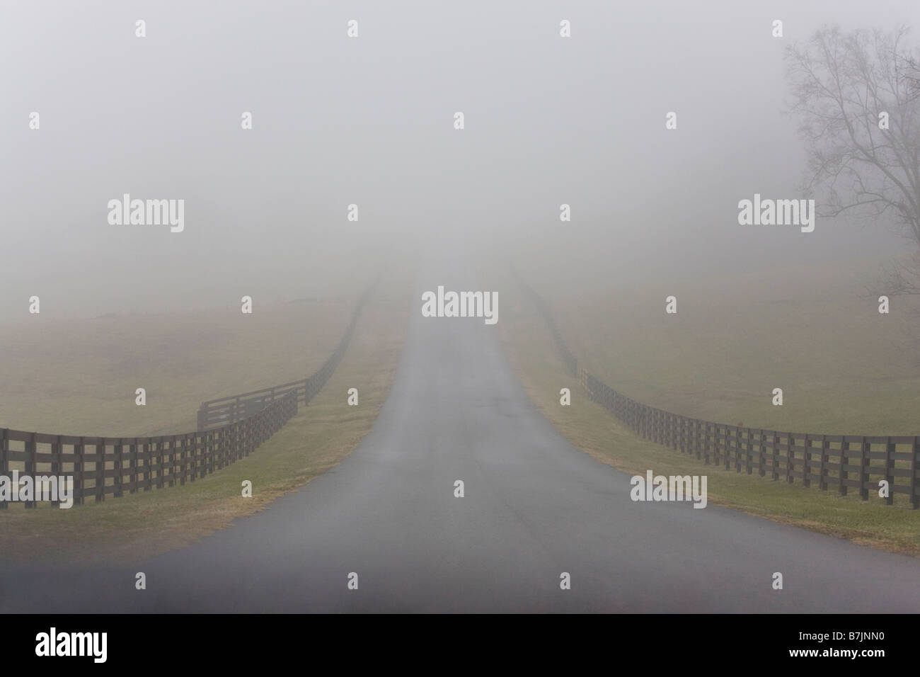 Foggy road near Nashville, Tennessee Stock Photo