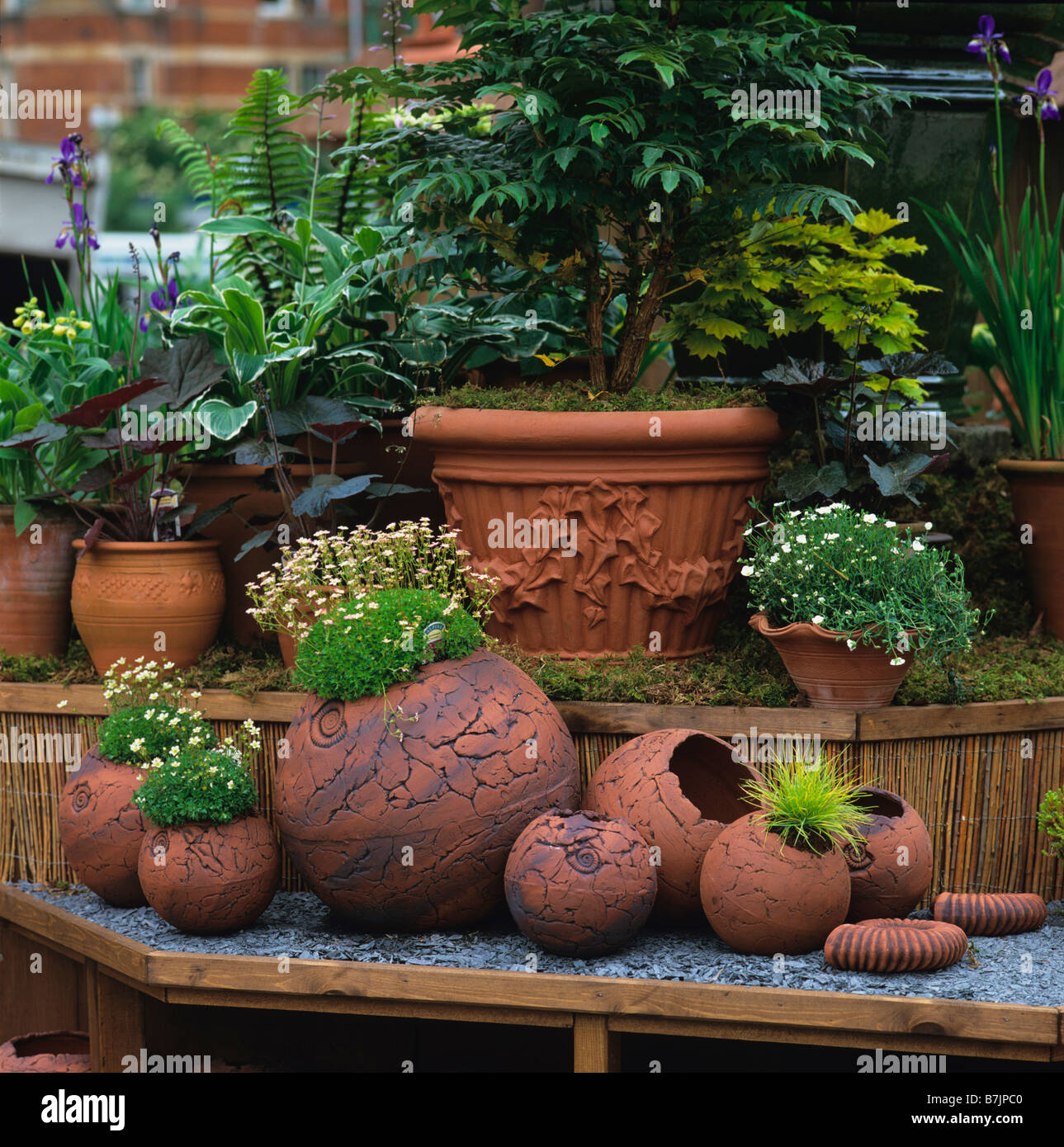 Planted containers and terracotta display Stock Photo