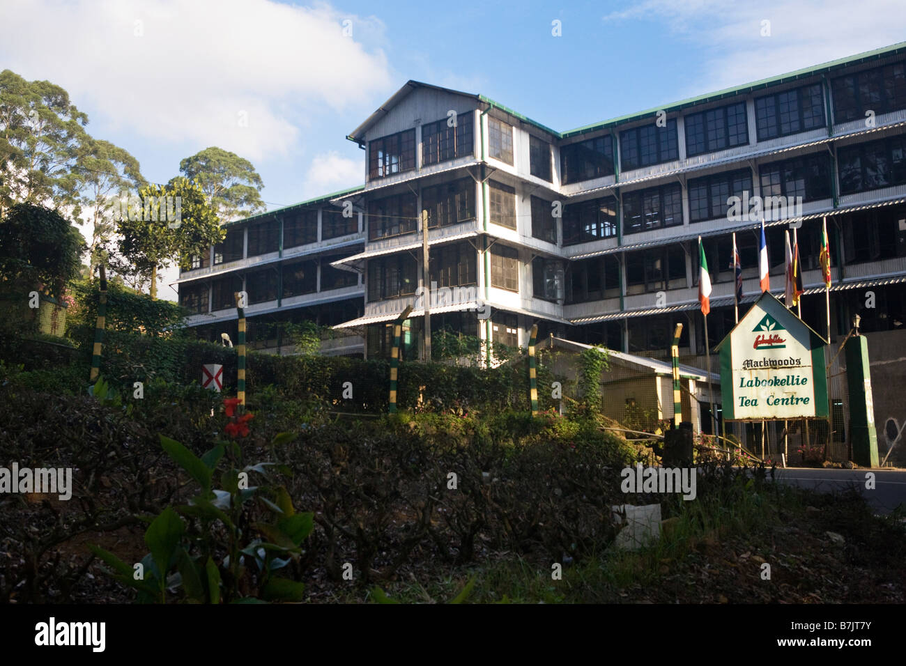 Mackwoods Labookellie Tea Centre/Factory in Nuwara Eliya, Sri Lanka ...