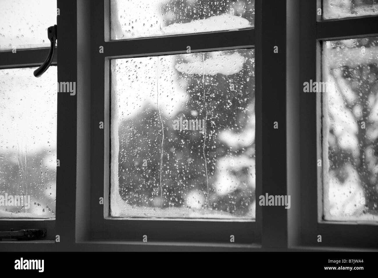 Window condensation Stock Photo