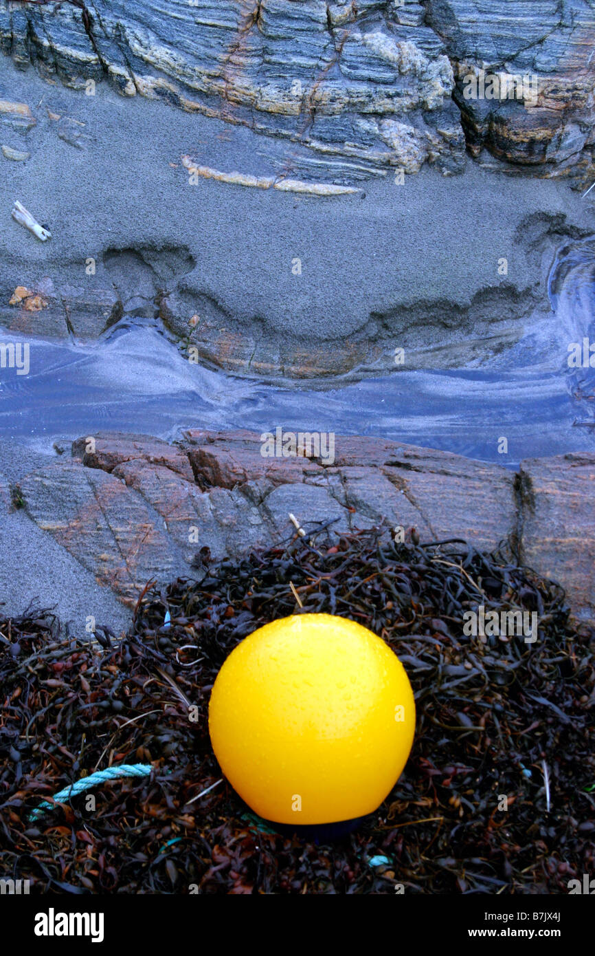 Yellow buoy on seaweed Stock Photo Alamy