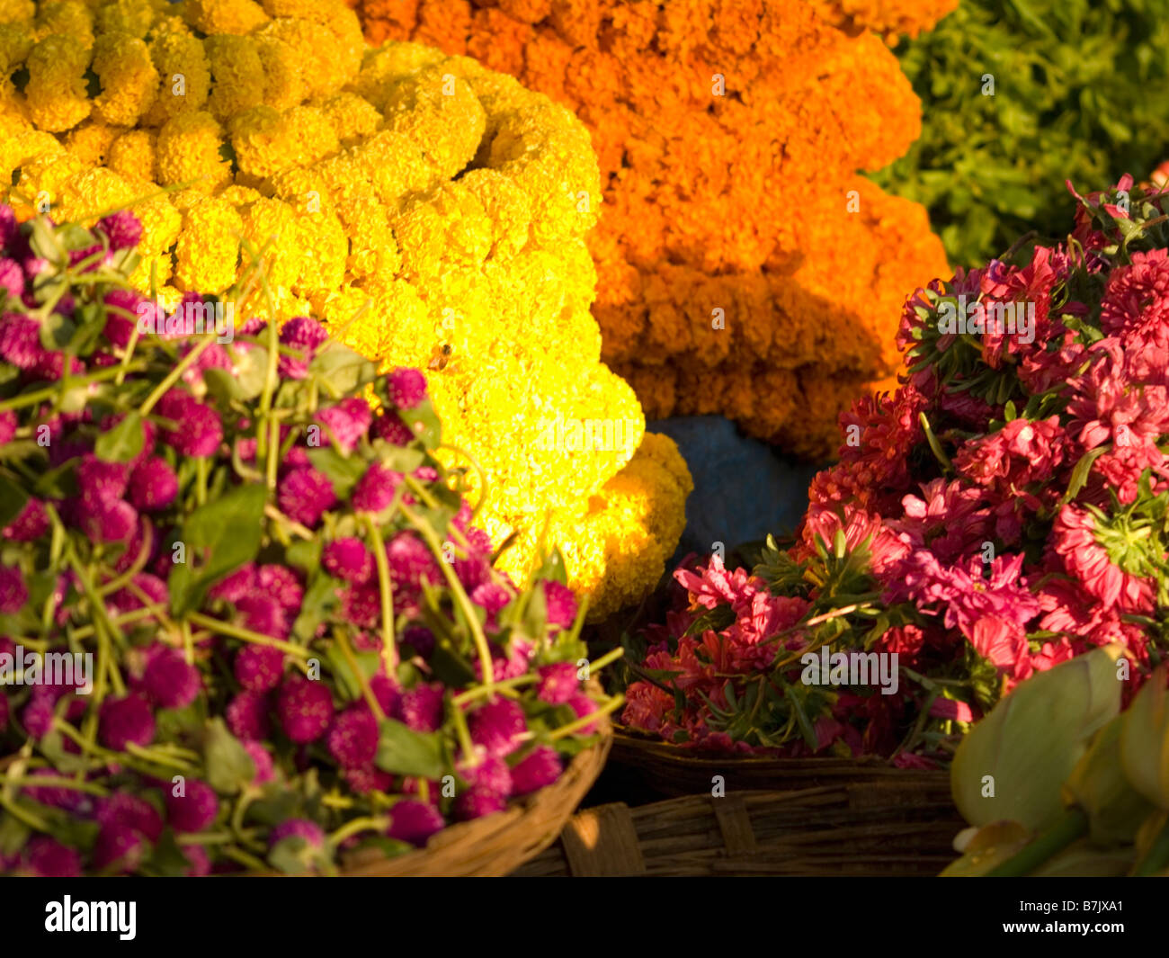 Flower vendor s plants for sale at a market Stock Photo Alamy