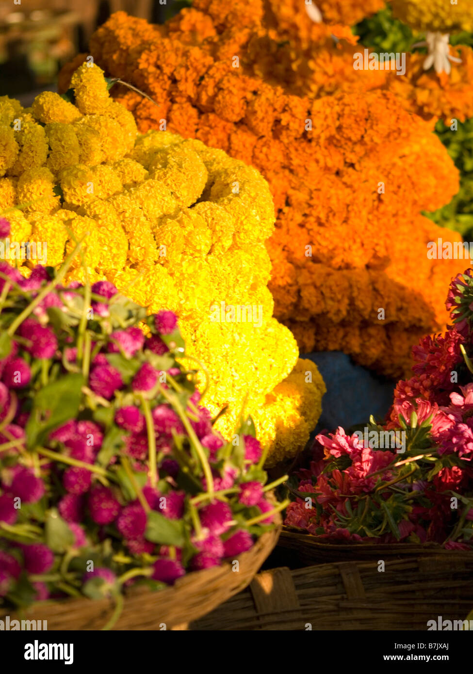 Flower vendor s plants for sale at a market Stock Photo Alamy