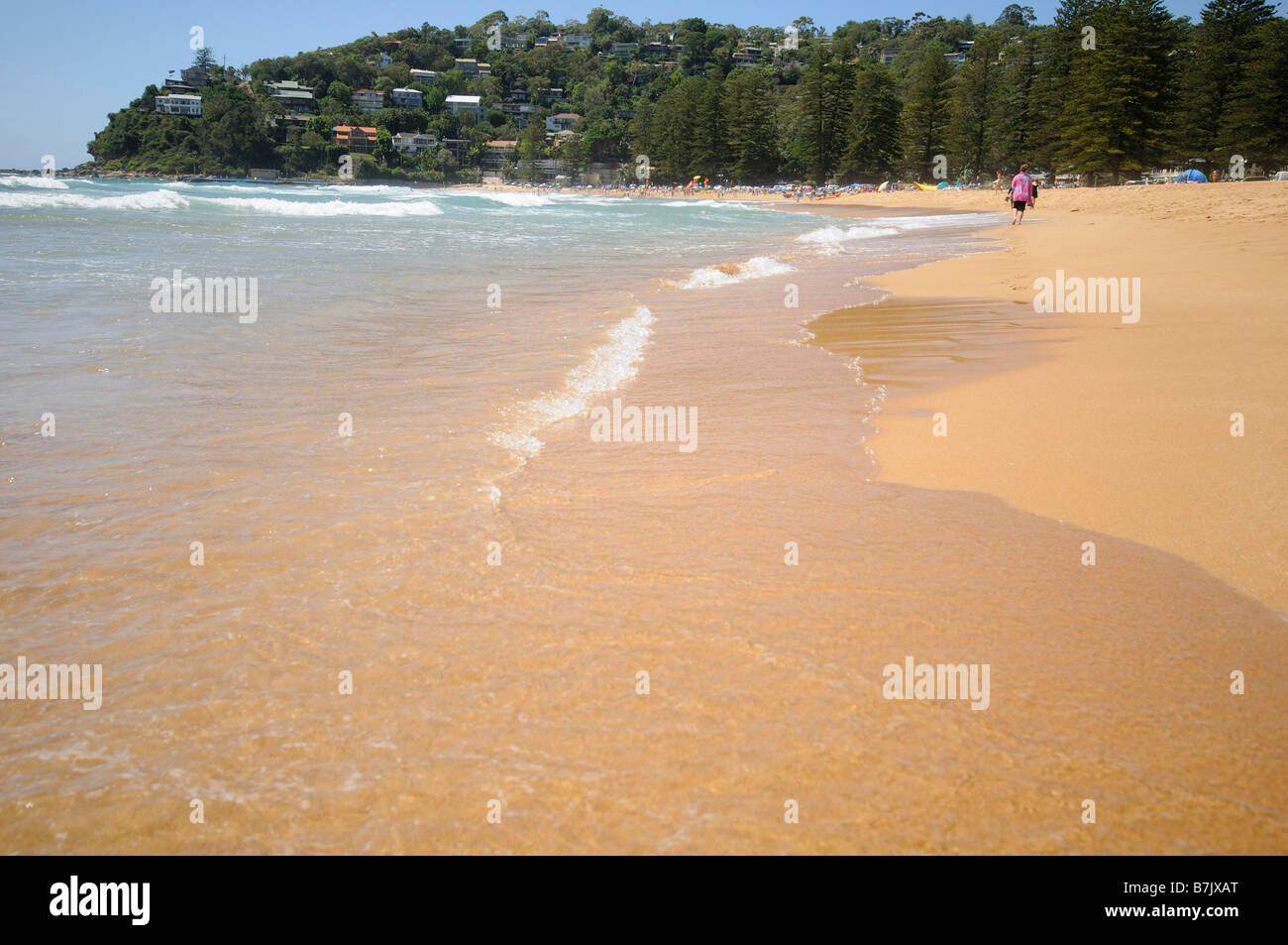 Palm Beach sydney new south wales