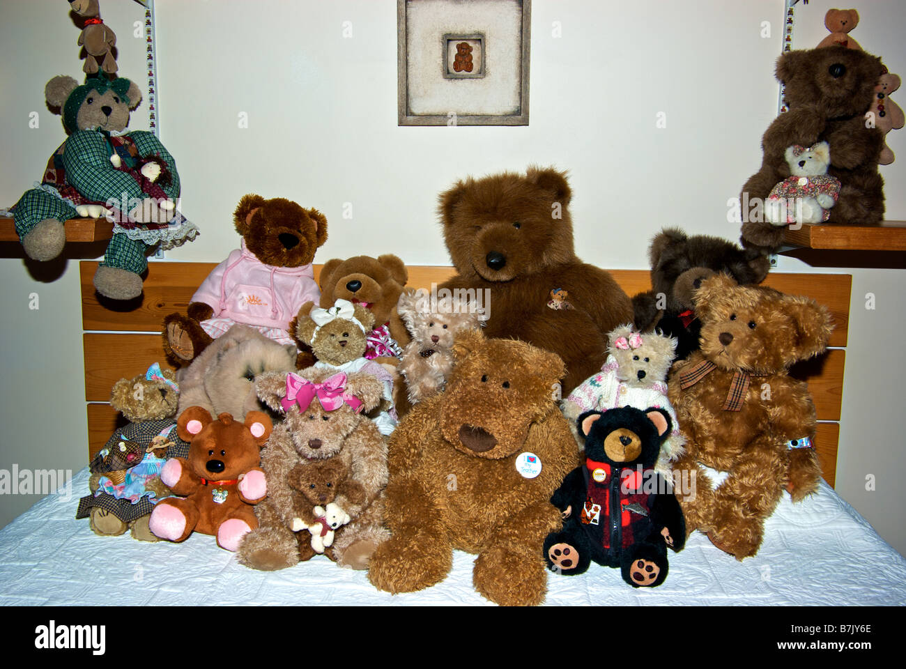 bunch of teddy bears