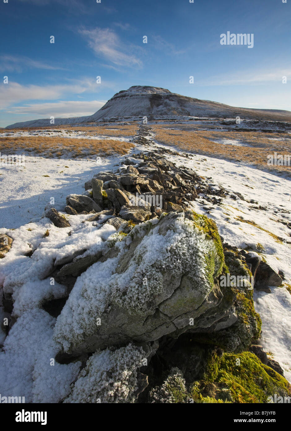 Frosted boulder and drystone wall leading to Ingleborough Hill at White Scars Ribblesdale Yorkshire Dales U.K Stock Photo