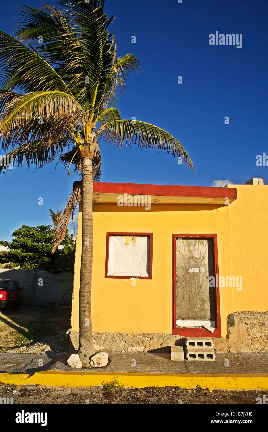 Tall palm tree blowing in the early morning breeze next to a small yellow building under bright blue clear skies in Mexico. Stock Photo