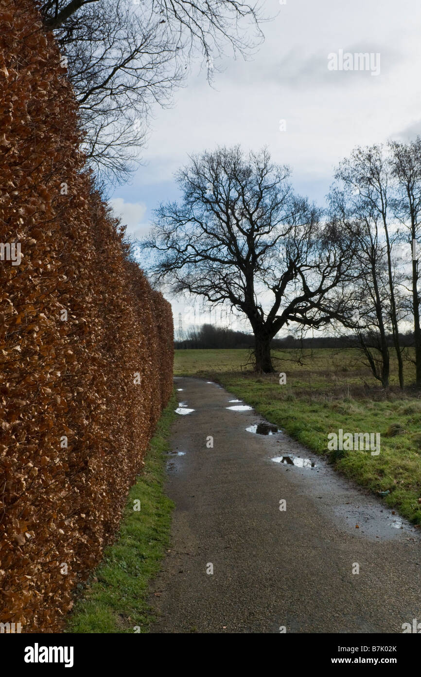 farm footpath in winter Stock Photo