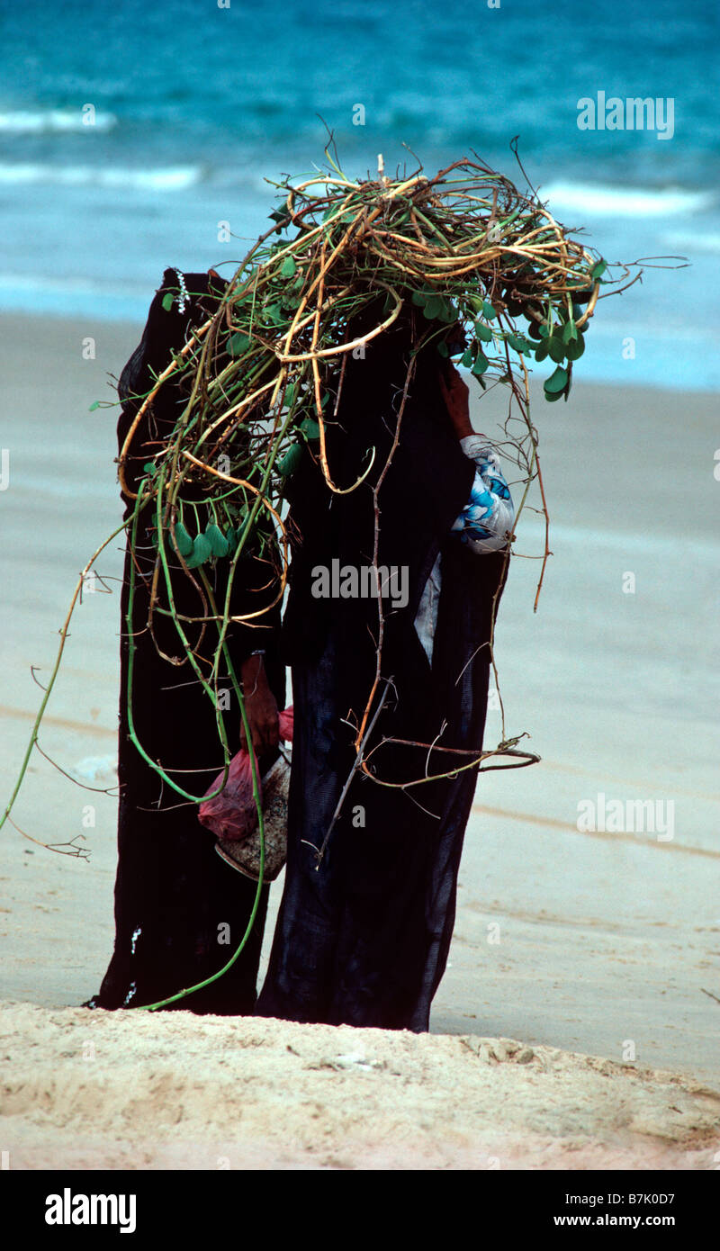 Oman, Wahiba Sands at the Indian Ocean.  Two Bedouin women, one with seaweeds on her head harvested for her animals Stock Photo