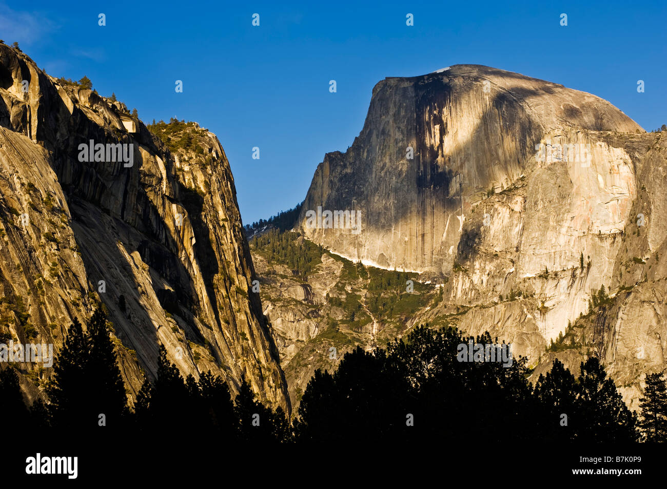 half dome rock, yosemite national forest, california, usa Stock Photo
