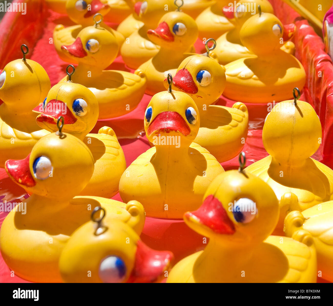 lots of rubber ducks floating along Stock Photo Alamy