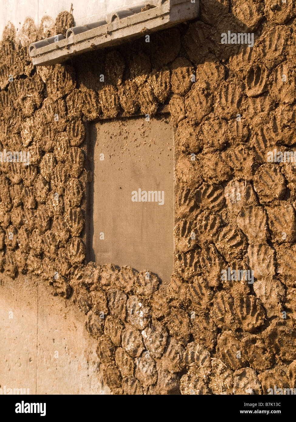 Cow dung being dried to use as cooking fuel Stock Photo Alamy