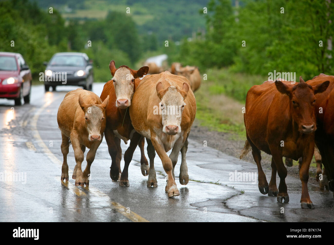 Mirgate hires stock photography and images Alamy