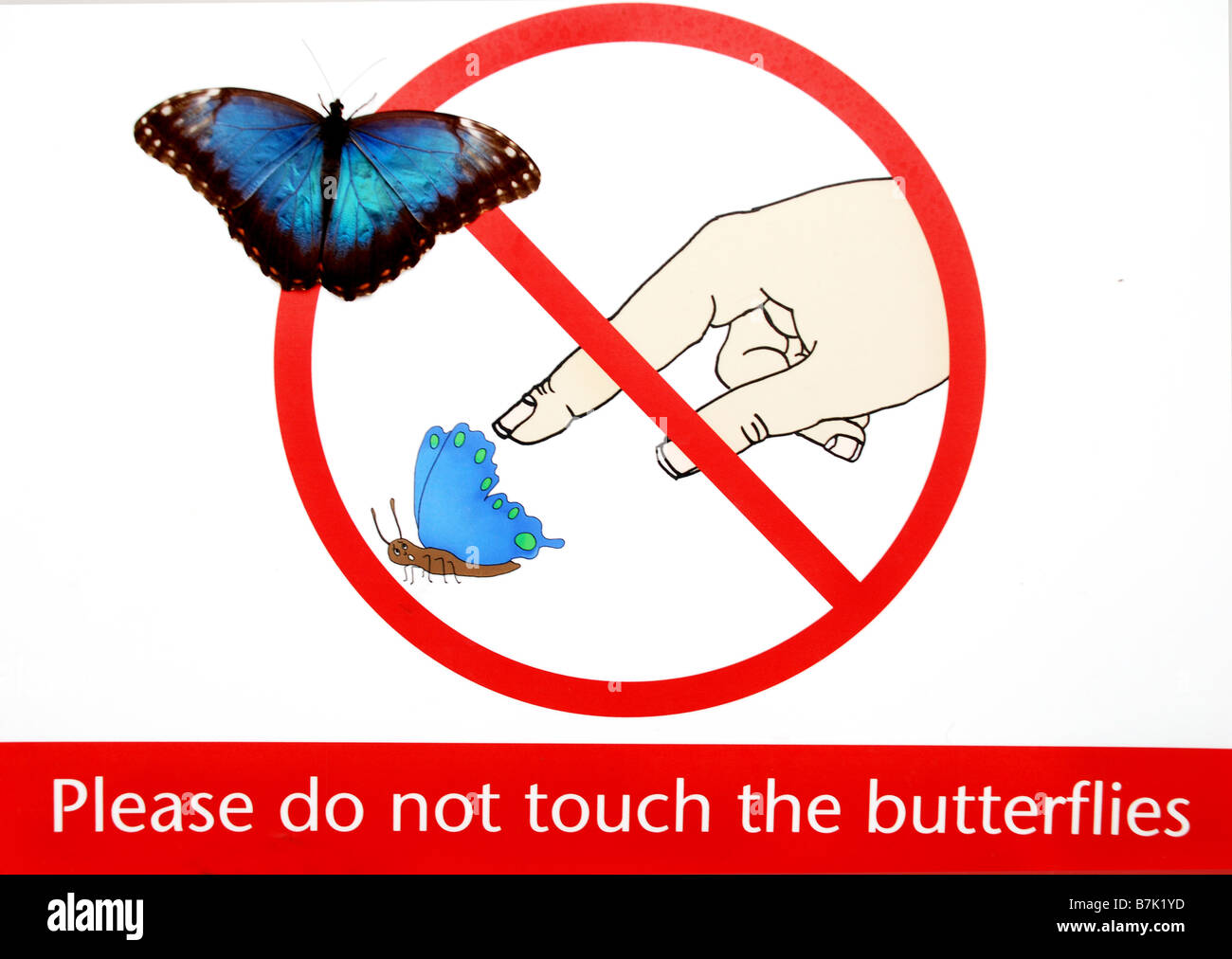 Butterfly, do not touch the butterflies - notice board Stock Photo