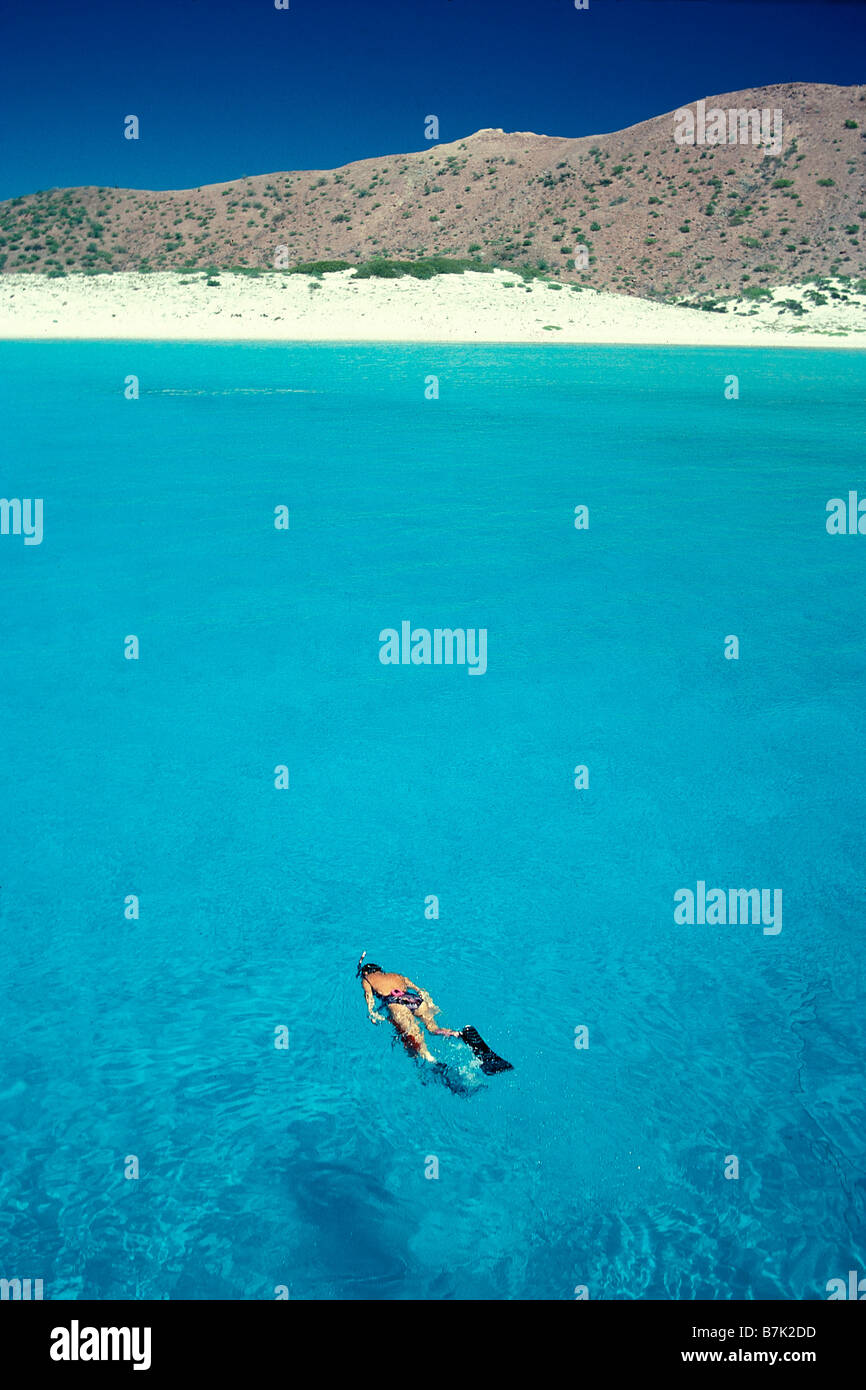 Snorkeling Sea of Cortez Mexico Stock Photo