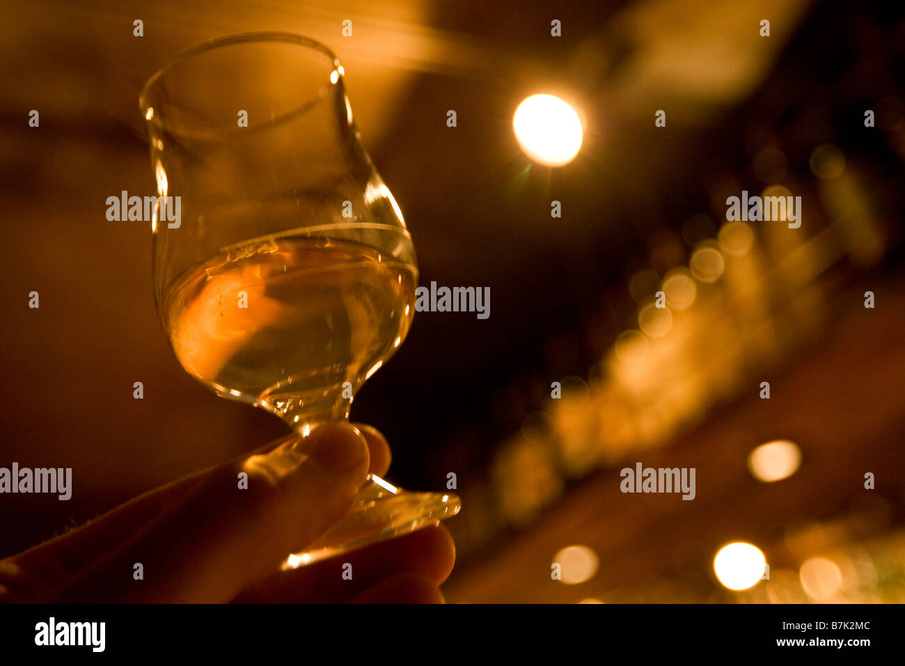 whisky tasting glass Stock Photo