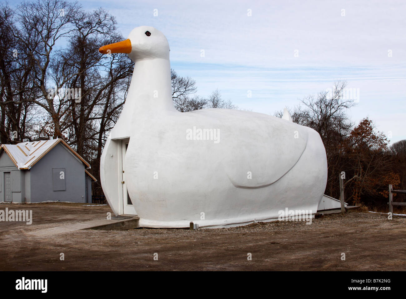 The Big Duck, a monument and gift shop honoring the Long Island duck farming industry, Long Island, New York USA Stock Photo