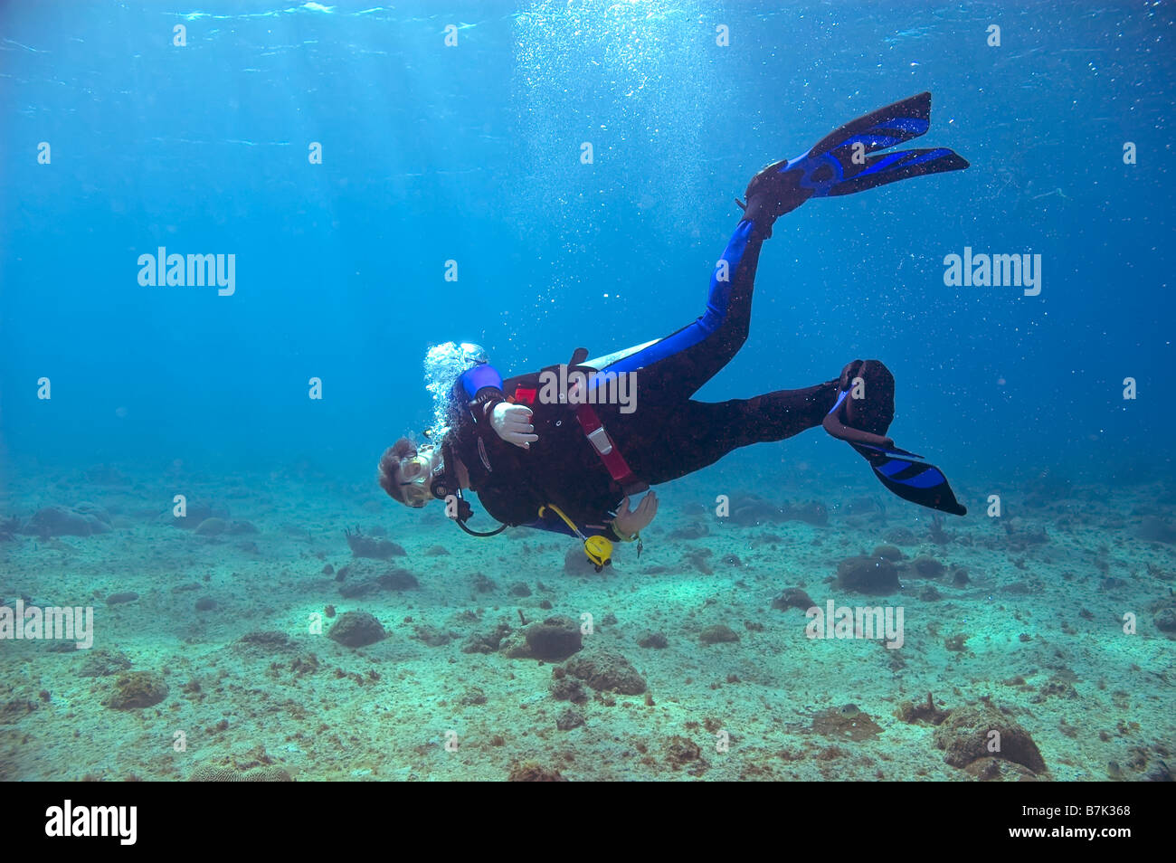 male scuba diver with blue and black fins and wetsuit swimming in blue