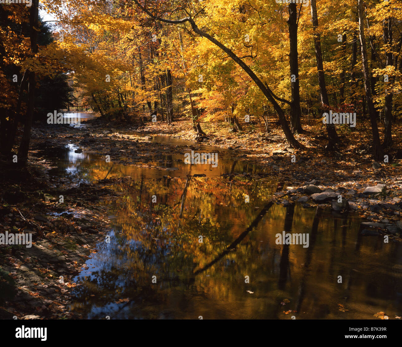 Fallscape River Scenic River with Fall Foliage Stock Photo - Alamy