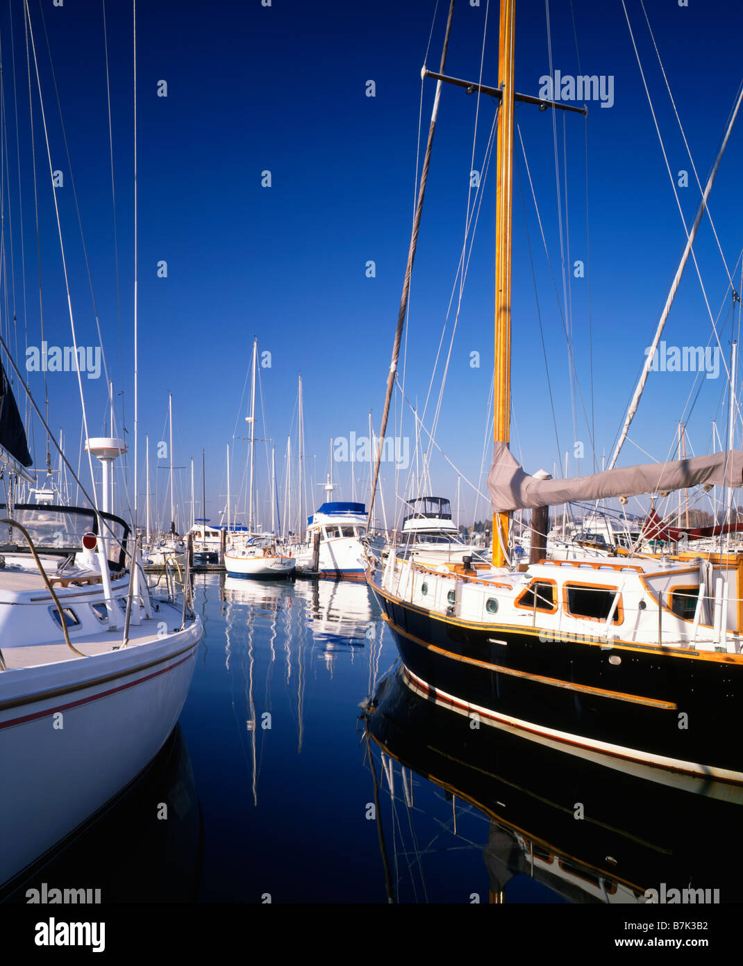 2 sailboats black hull and white hull closeup at marina dock with other