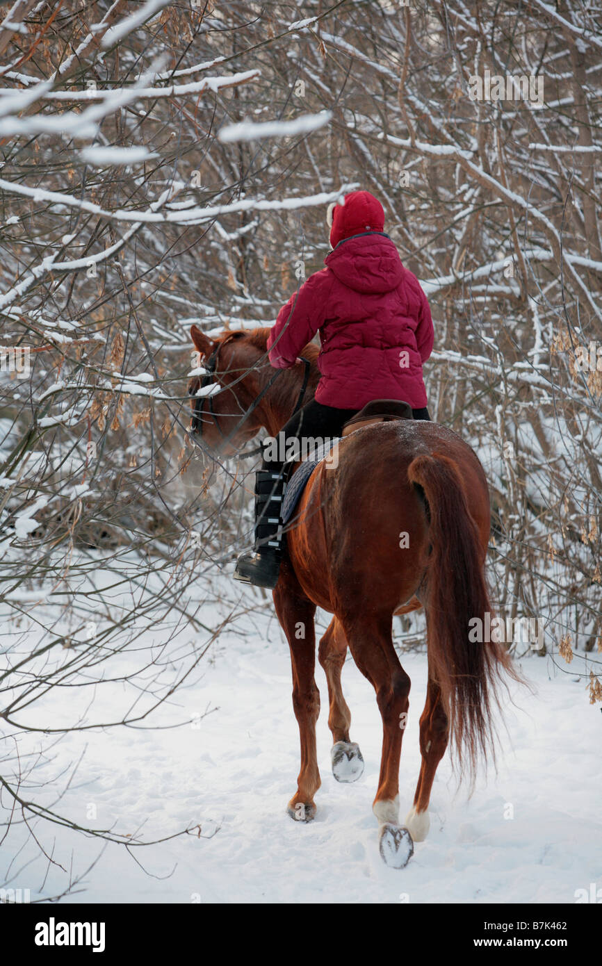 Horseback travels Stock Photo