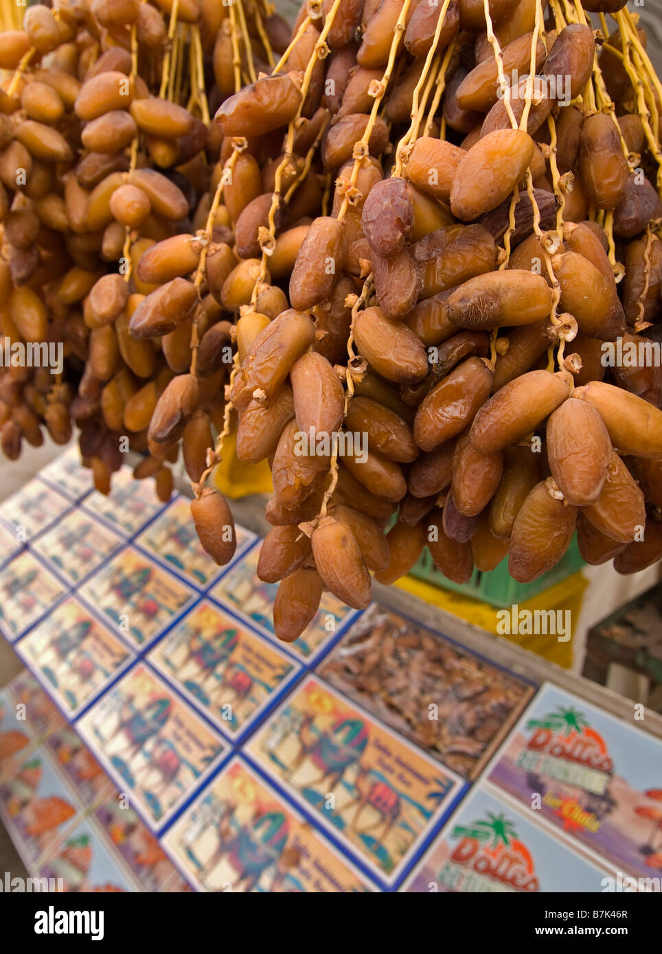 bunches of Tunisian dates for sale hang above boxed dates with colourful  labels Stock Photo - Alamy
