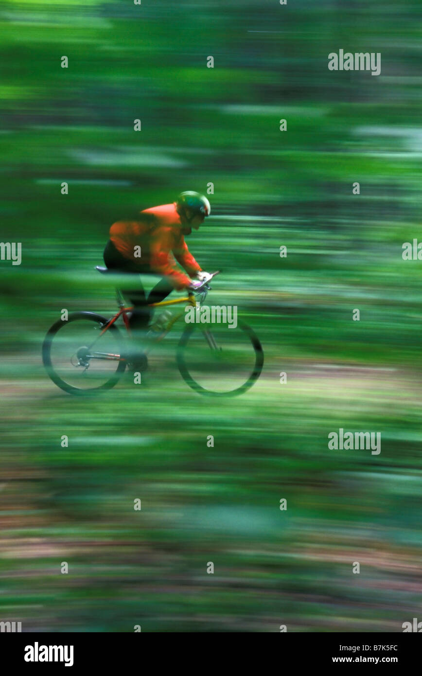 algonquin park mountain biking