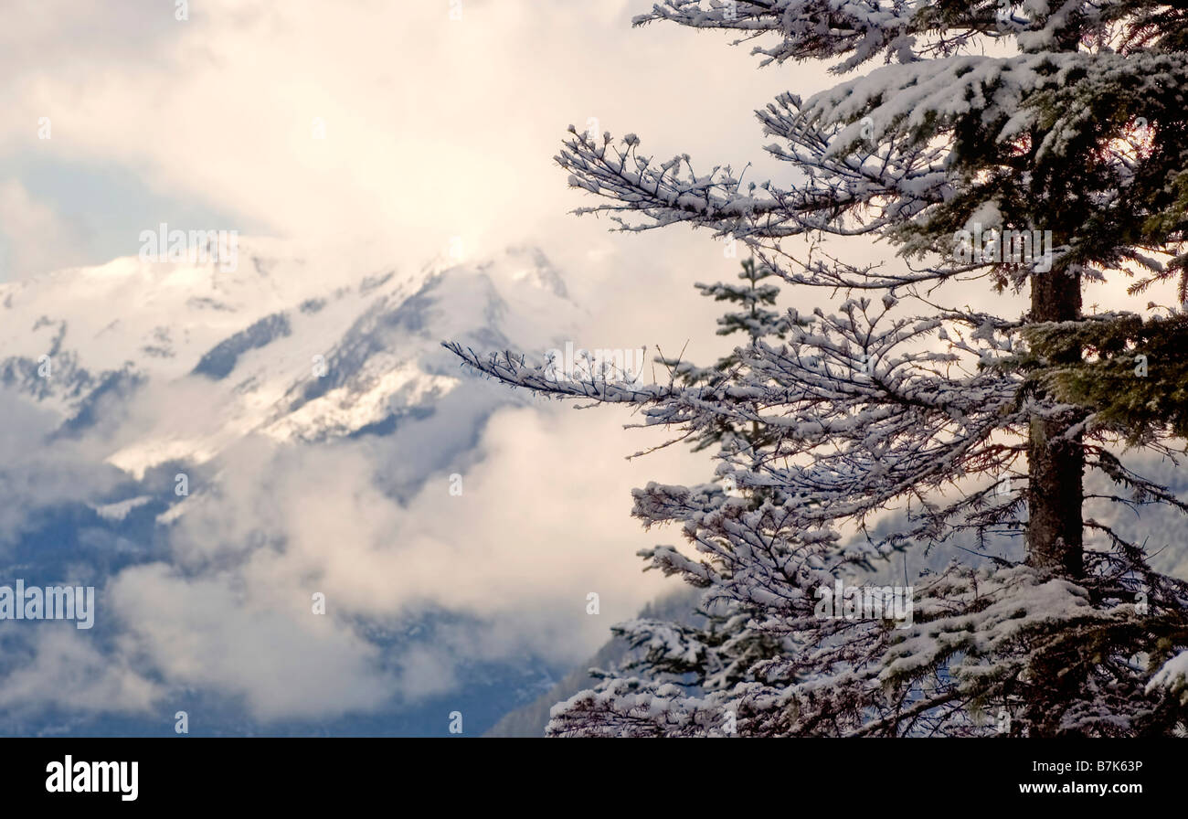 Winter vista, Whistler, BC Canada Stock Photo
