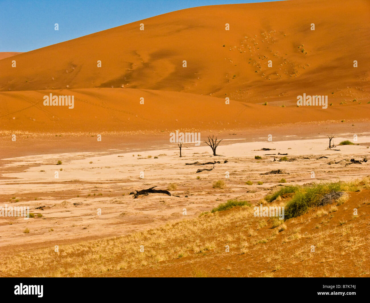 Namibia schutzgebiete namibia hi-res stock photography and images - Alamy