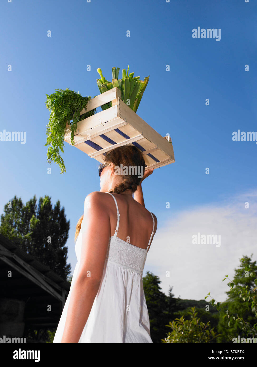 Woman carrying basket of vegetables Stock Photo Alamy