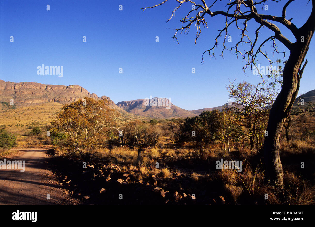 Landscape, safari, beauty in nature, Marakele National Park, South