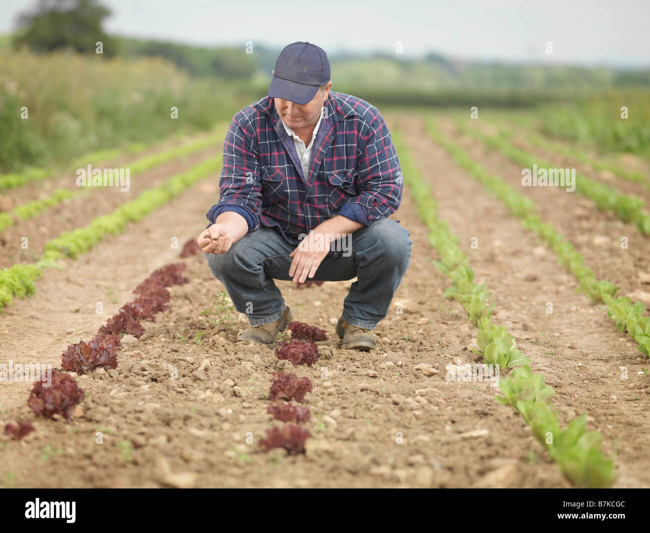 Farmer crop row hires stock photography and images Alamy