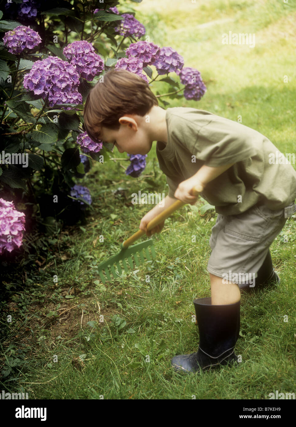 Young boy playing with a rake in a garden Stock Photo - Alamy