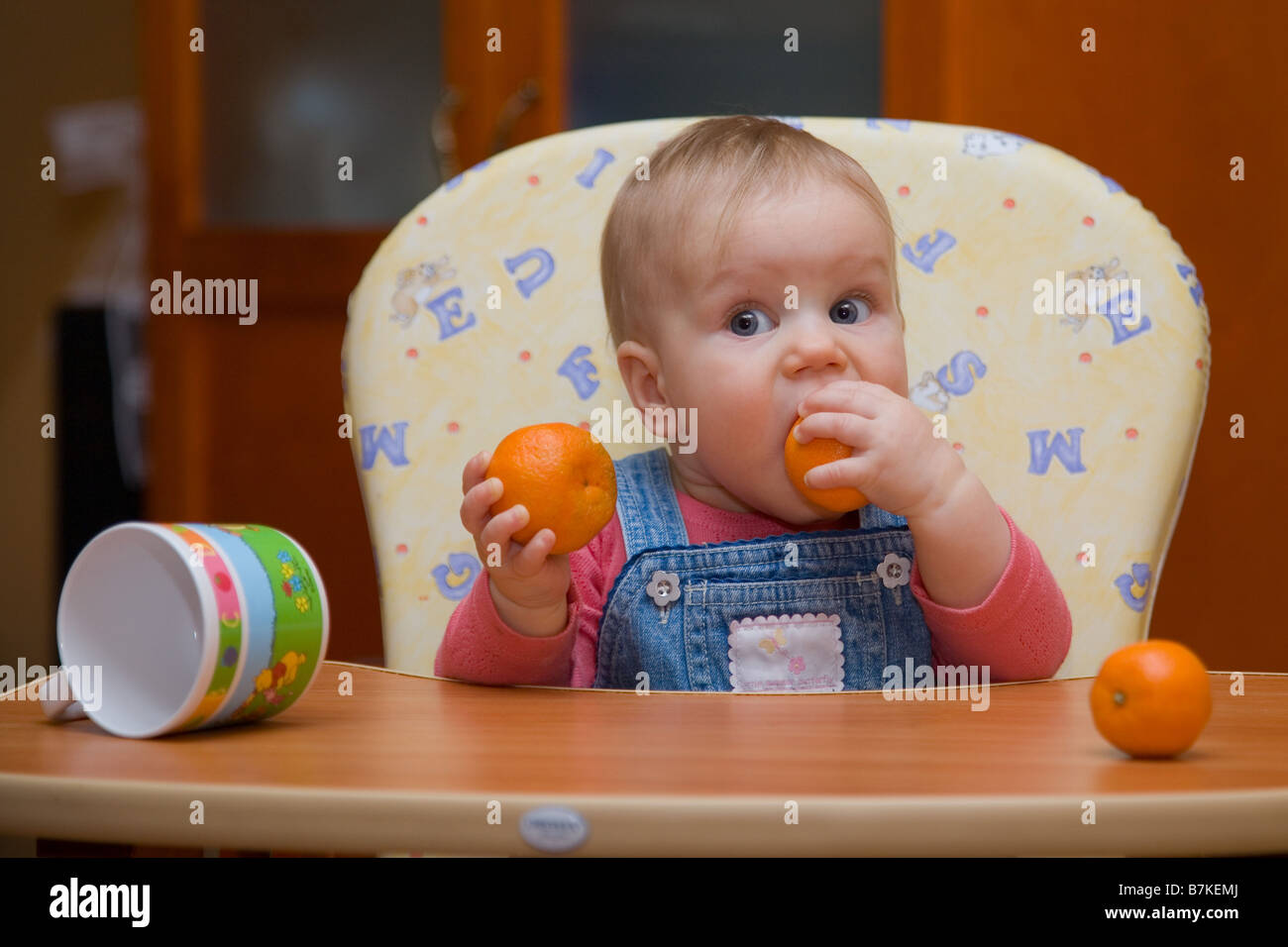 Eight Month Old Baby Sitting in High Chair Stock Photo Alamy