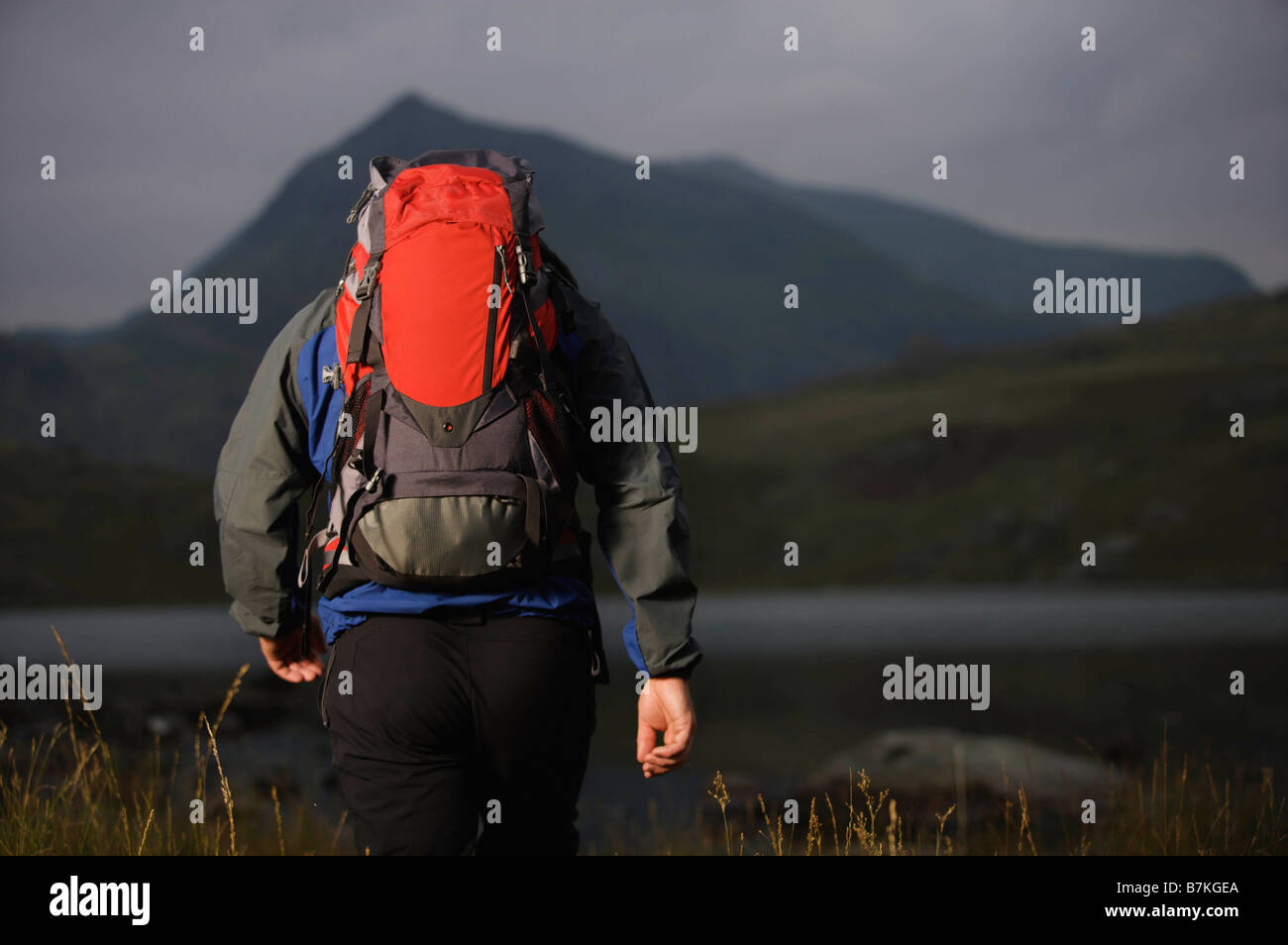 Hiker carrying a backpack Stock Photo Alamy