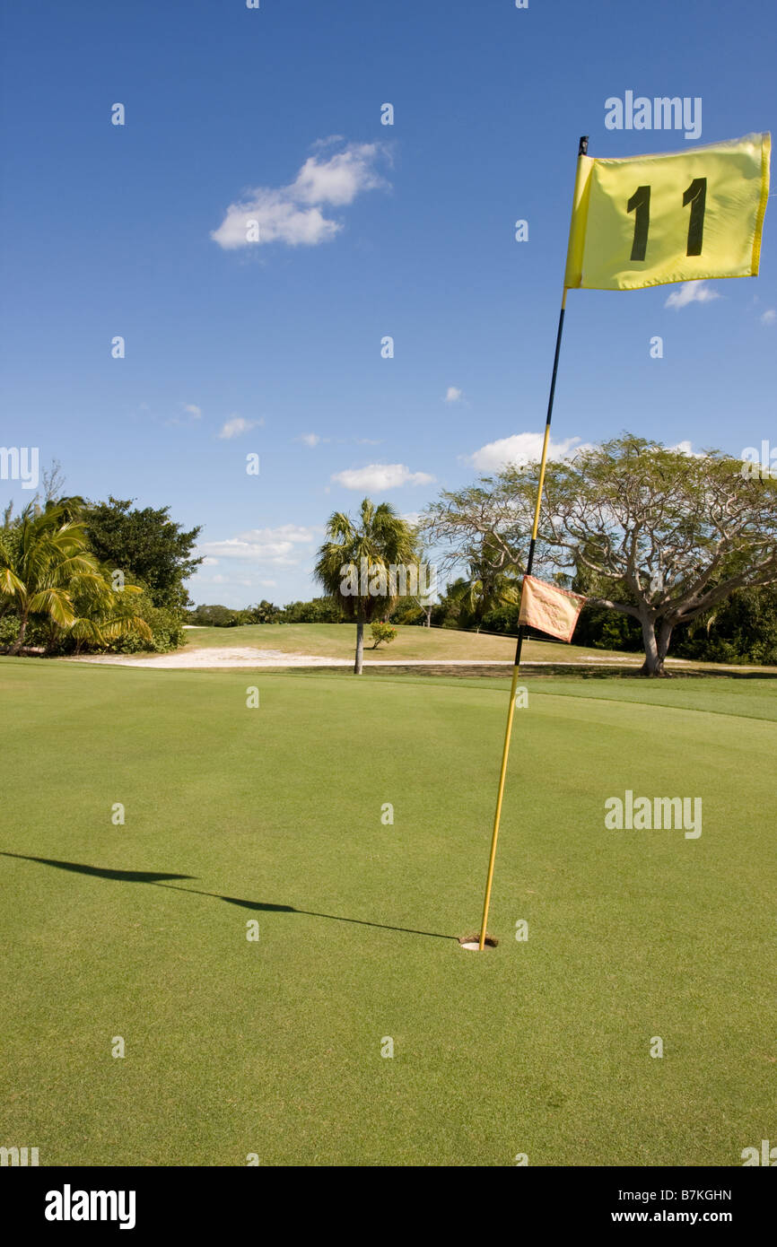 Green and yellow flag hires stock photography and images Alamy
