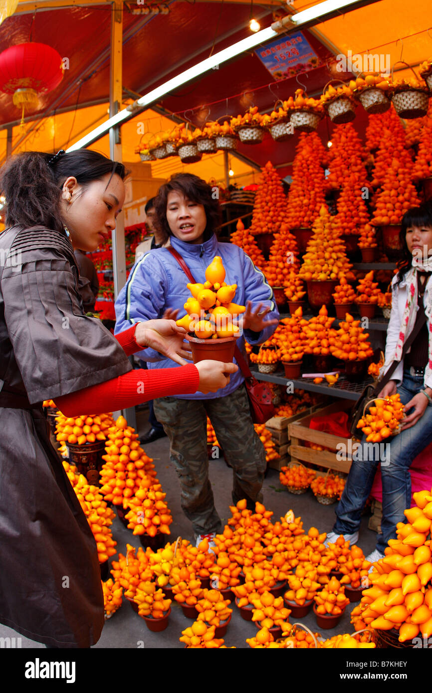 Gold fruit on dicplay in Guangzhou Flower Market for the Chinese New Year Stock Photo
