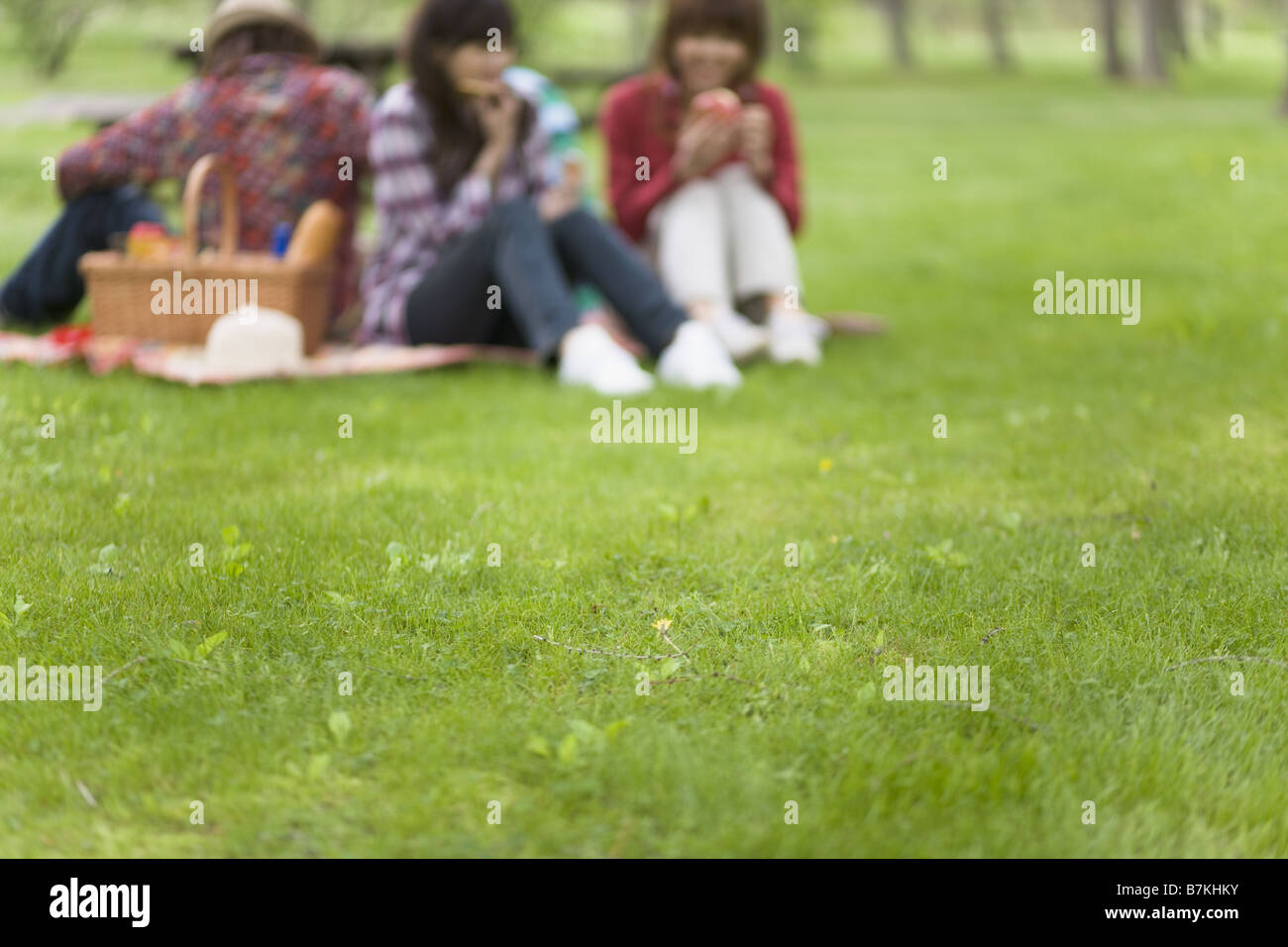 Lawn playground picnic man woman hi-res stock photography and images ...